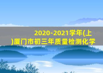 2020-2021学年(上)厦门市初三年质量检测化学