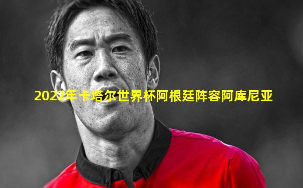 2022年卡塔尔世界杯阿根廷阵容阿库尼亚
