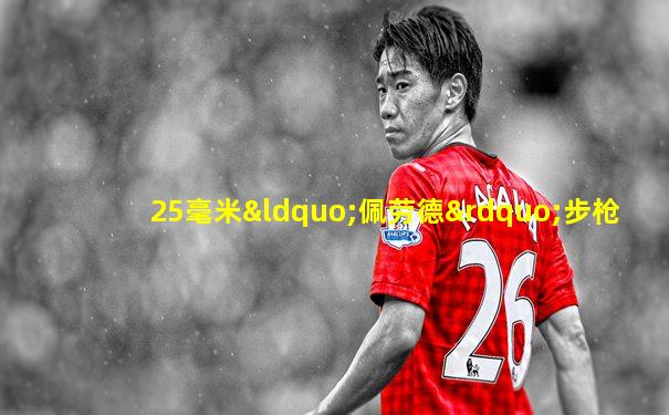 25毫米“佩劳德”步枪