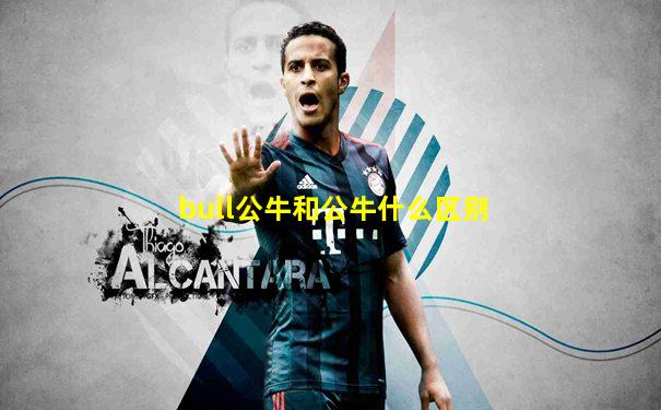 bull公牛和公牛什么区别