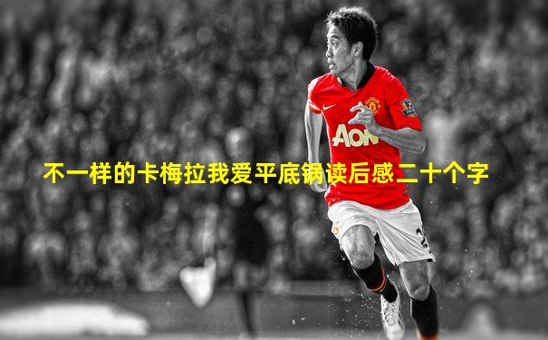 不一样的卡梅拉我爱平底锅读后感二十个字