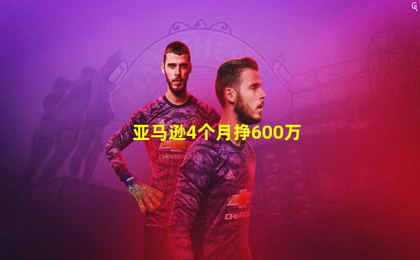 亚马逊4个月挣600万