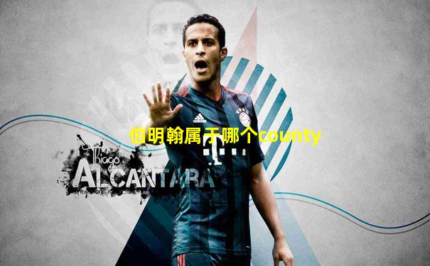 伯明翰属于哪个county