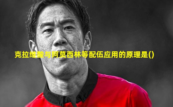 克拉维酸与阿莫西林等配伍应用的原理是()
