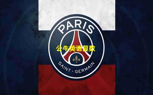 公牛英语复数