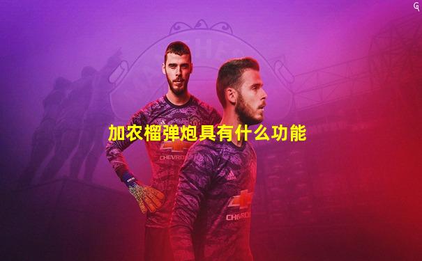 加农榴弹炮具有什么功能