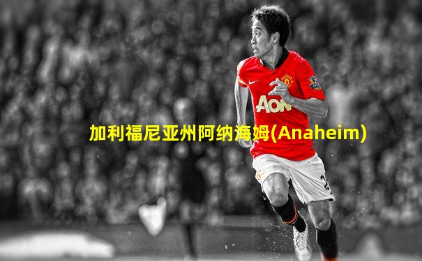 加利福尼亚州阿纳海姆(Anaheim)