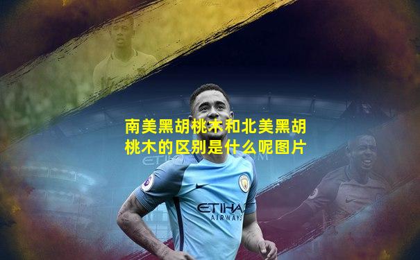 南美黑胡桃木和北美黑胡桃木的区别是什么呢图片