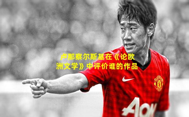 卢那察尔斯基在《论欧洲文学》中评价谁的作品