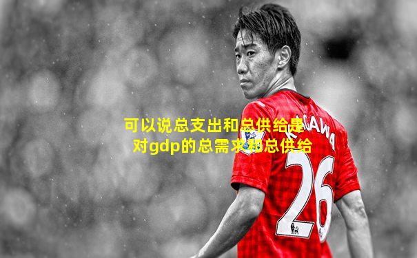 可以说总支出和总供给是对gdp的总需求和总供给