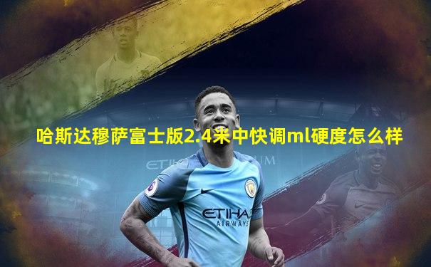 哈斯达穆萨富士版2.4米中快调ml硬度怎么样