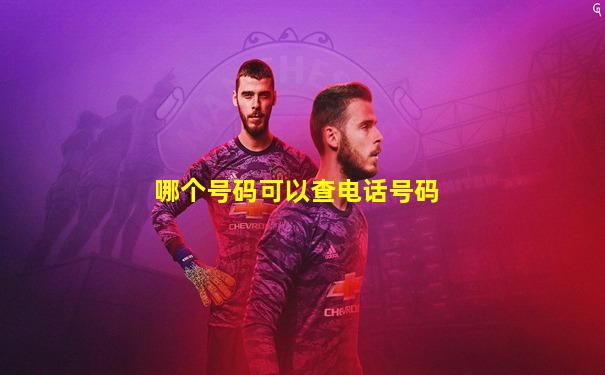 哪个号码可以查电话号码