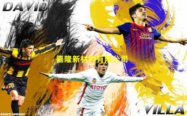 嘉隆新材料有限公司