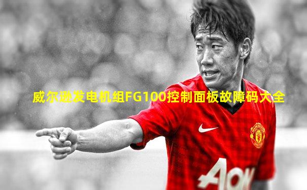 威尔逊发电机组FG100控制面板故障码大全