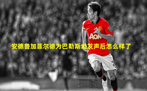 安德鲁加菲尔德为巴勒斯坦发声后怎么样了