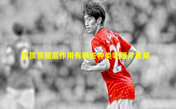 屋顶顶棚层作用有哪些种类呢图片视频