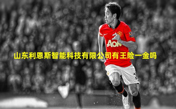 山东利恩斯智能科技有限公司有王险一金吗