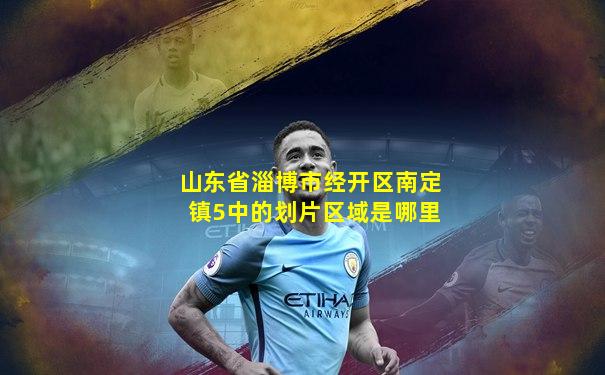山东省淄博市经开区南定镇5中的划片区域是哪里