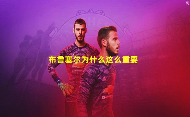 布鲁塞尔为什么这么重要