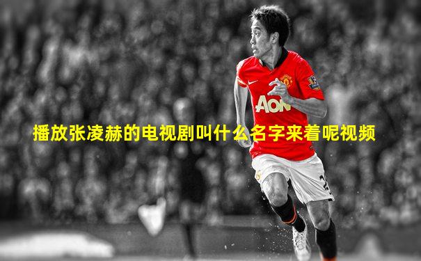 播放张凌赫的电视剧叫什么名字来着呢视频