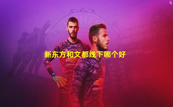新东方和文都线下哪个好