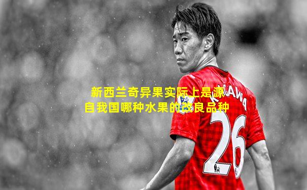 新西兰奇异果实际上是源自我国哪种水果的改良品种
