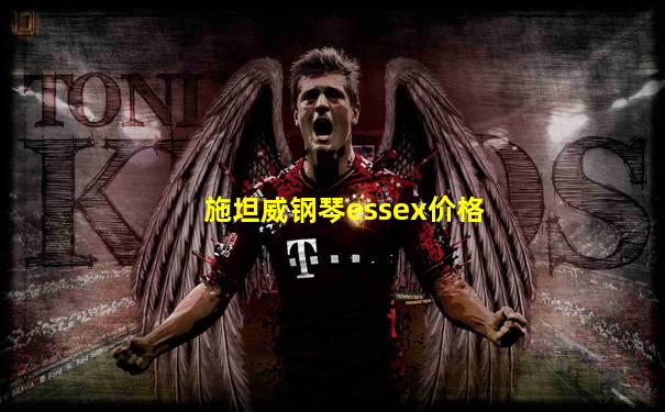 施坦威钢琴essex价格