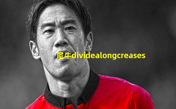 犀牛dividealongcreases