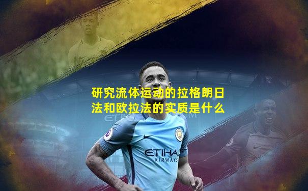 研究流体运动的拉格朗日法和欧拉法的实质是什么