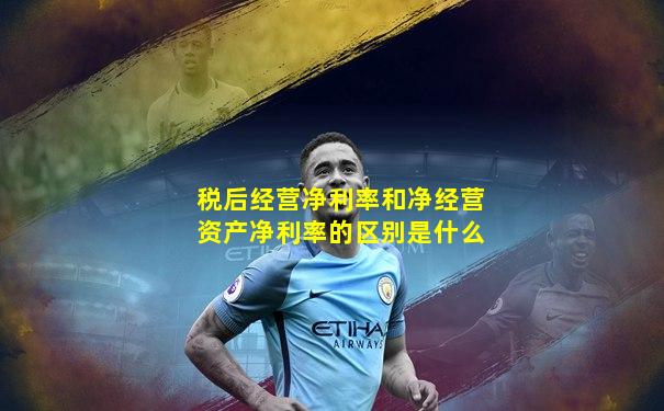 税后经营净利率和净经营资产净利率的区别是什么