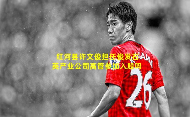 红河县许文俊担任俊发石英产业公司高管参加入股吗