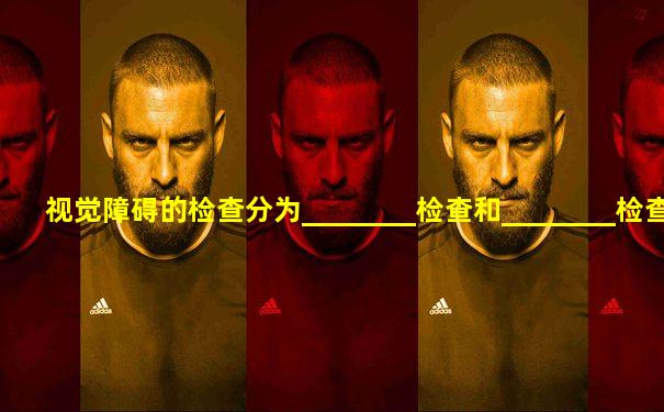 视觉障碍的检查分为________检查和________检查