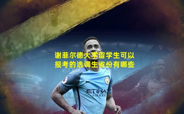 谢菲尔德大学留学生可以报考的选调生省份有哪些