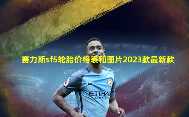 赛力斯sf5轮胎价格表和图片2023款最新款