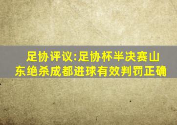 足协评议:足协杯半决赛山东绝杀成都进球有效判罚正确
