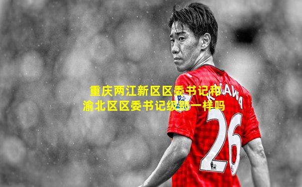 重庆两江新区区委书记和渝北区区委书记级别一样吗