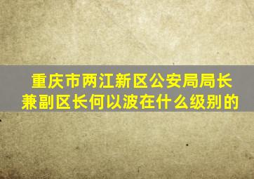 重庆市两江新区公安局局长兼副区长何以波在什么级别的