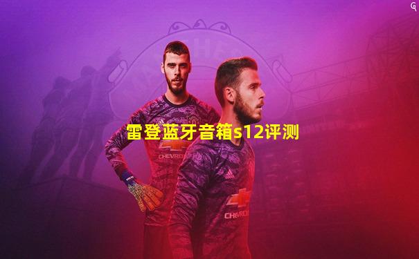 雷登蓝牙音箱s12评测