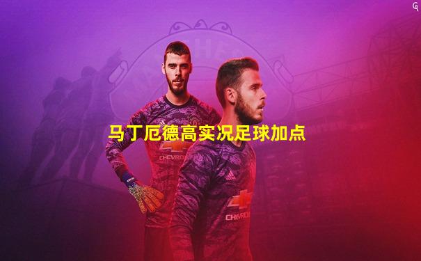 马丁厄德高实况足球加点